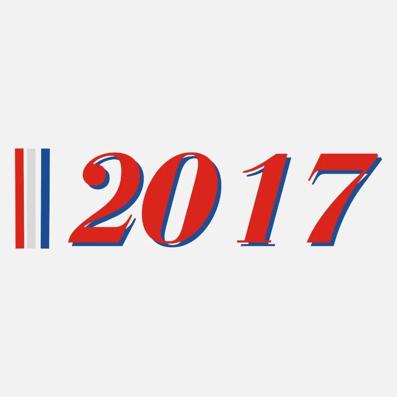 Year 2017