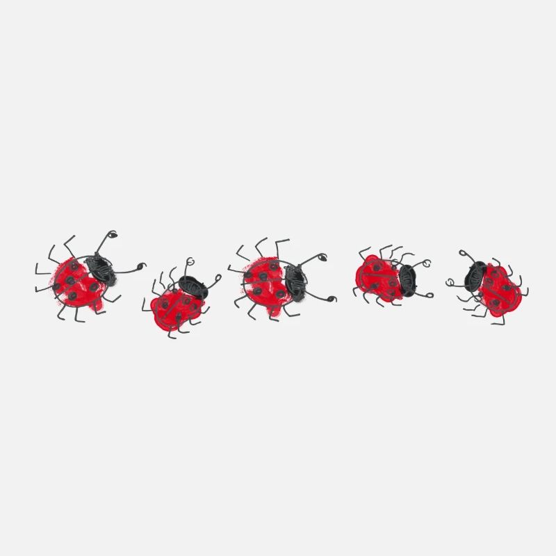 Marienkäfer Glück Ladybug