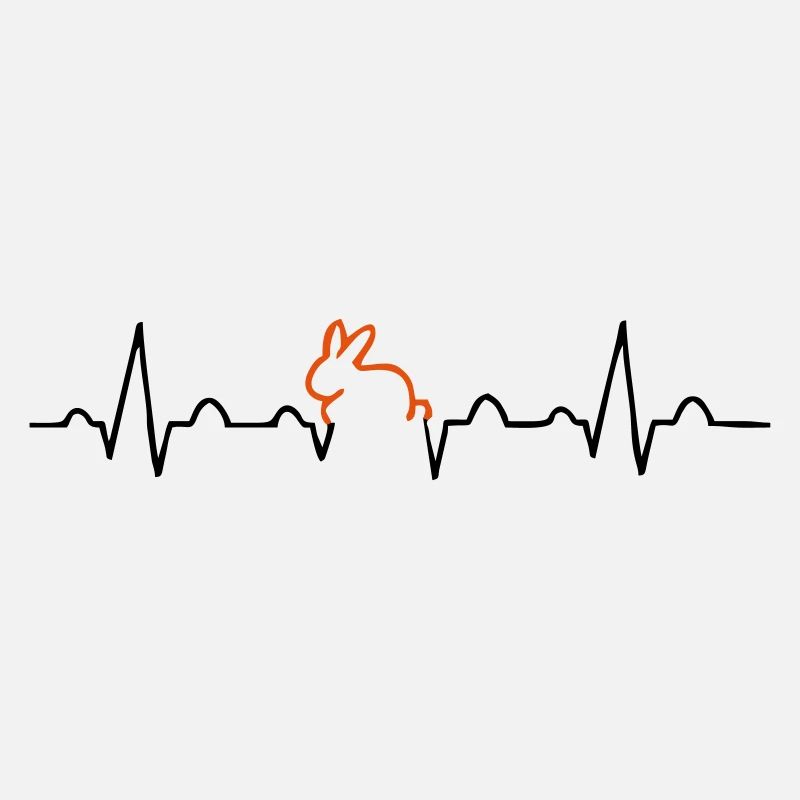 lapin ECG