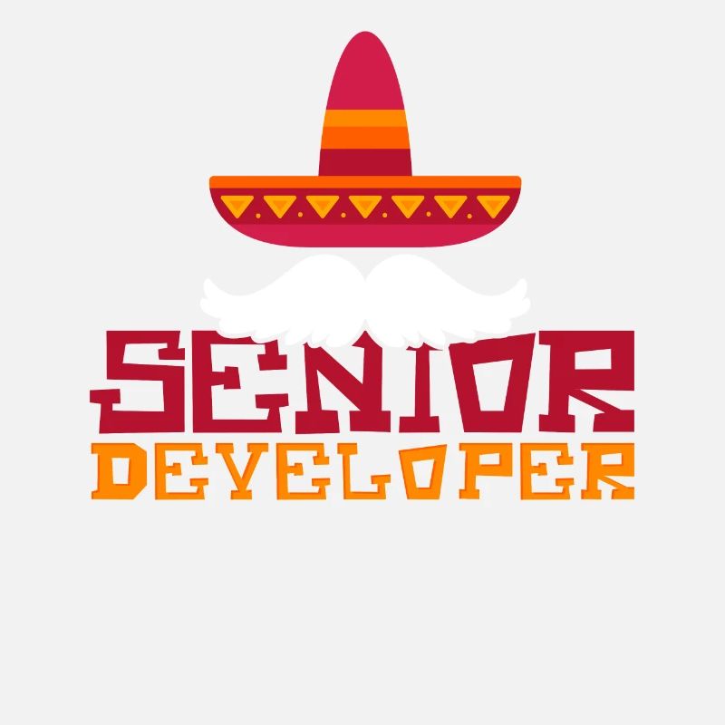 Senior Developer Programming Programmer