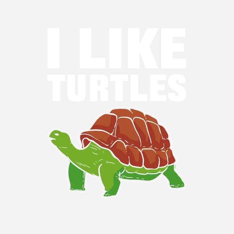 I like Turtles Sea Turtle