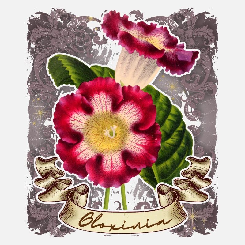 Illustration botanique de fleur de gloxinie vintage