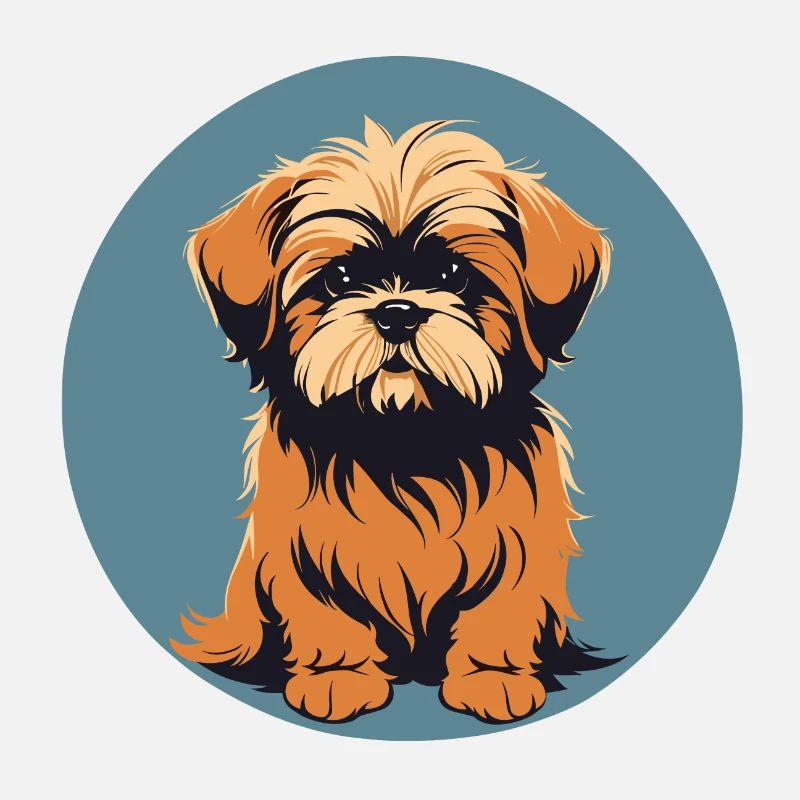 Lhasa apso Hundeporträt Bild