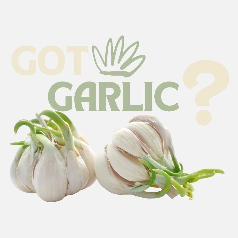 Garlic, funny Spuch, Got-Garlic