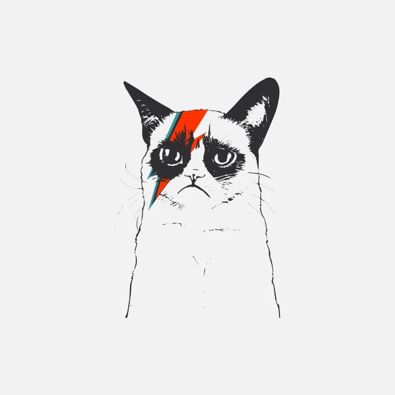 CATS | FLASH CAT