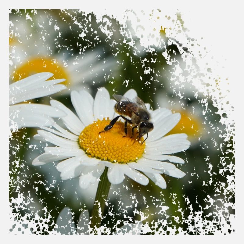 A bee collects pollen
