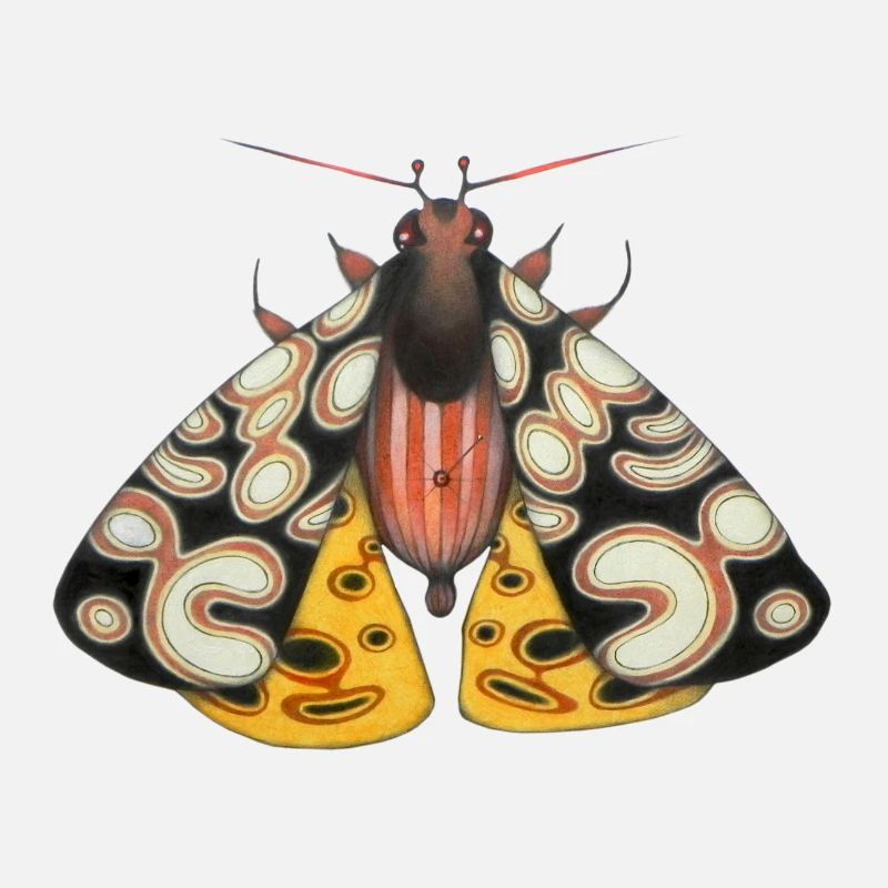 Moth schwarz und gelb