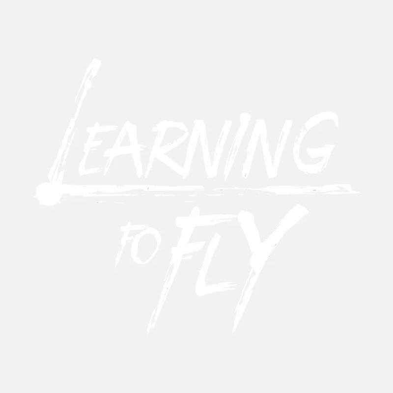 Learning to fly Flying Airplane Pilot Flyer