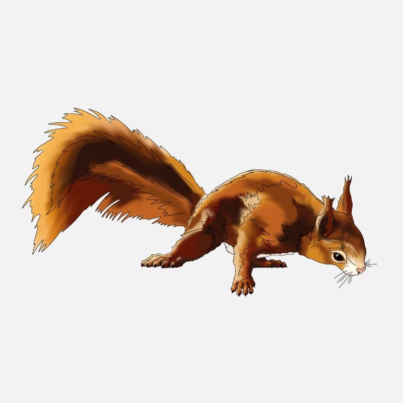 Eichhörnchen 4