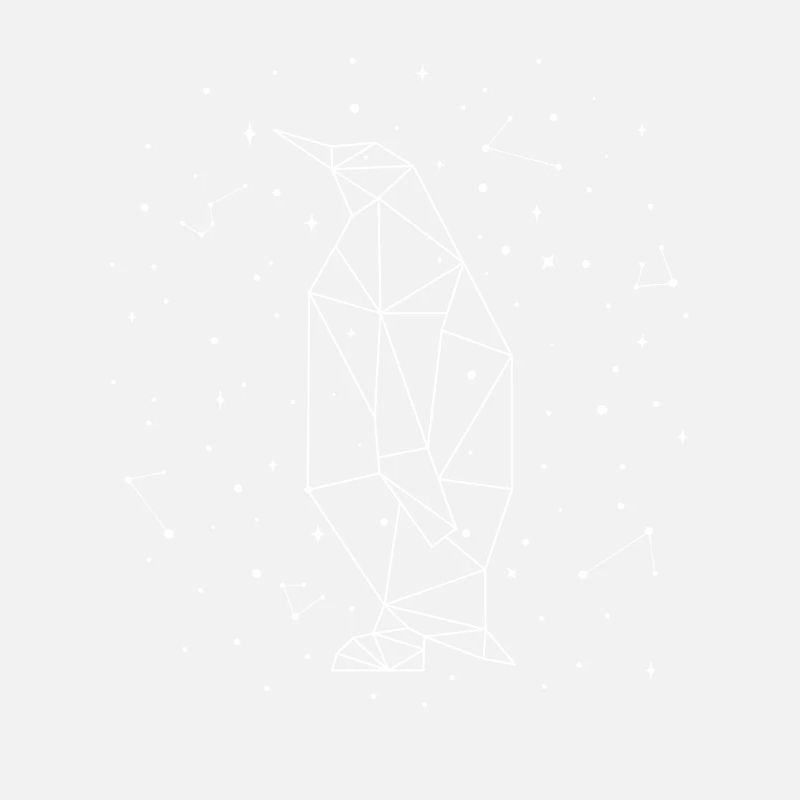 Constellation Penguin Constellation Seabird