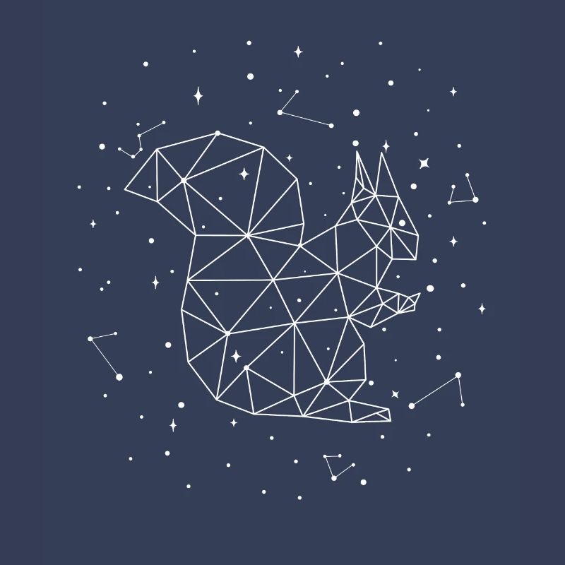 Constellation Squirrel Constellation Squirrel
