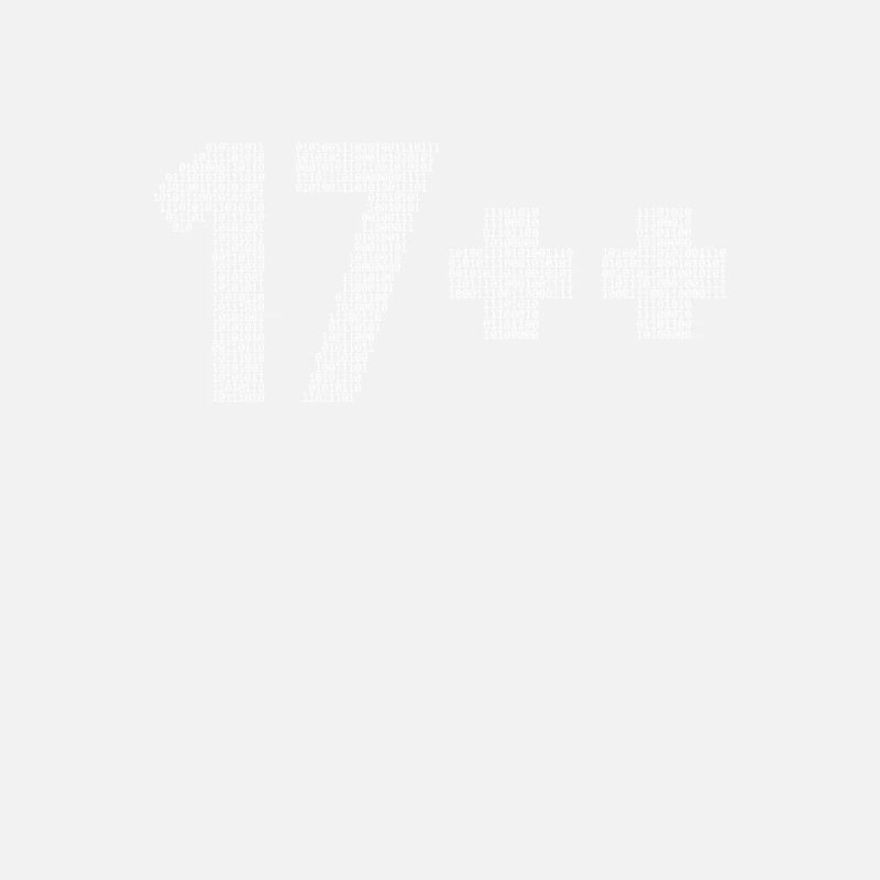 17++ Programmer Developer Coder 18th Birthday