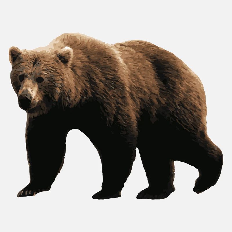 Ours Brun