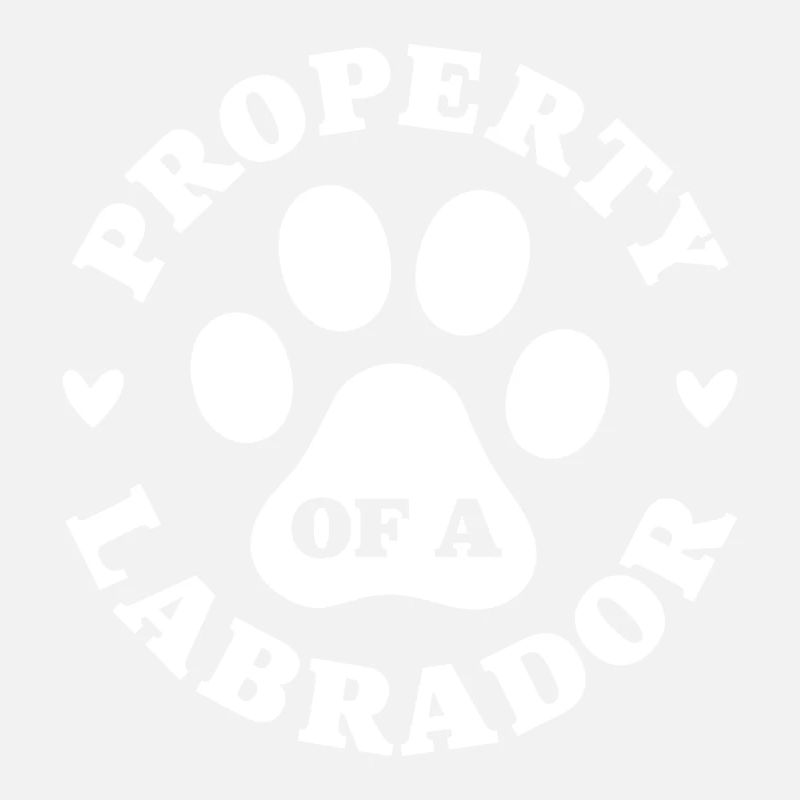 Propriété d’un Labrador