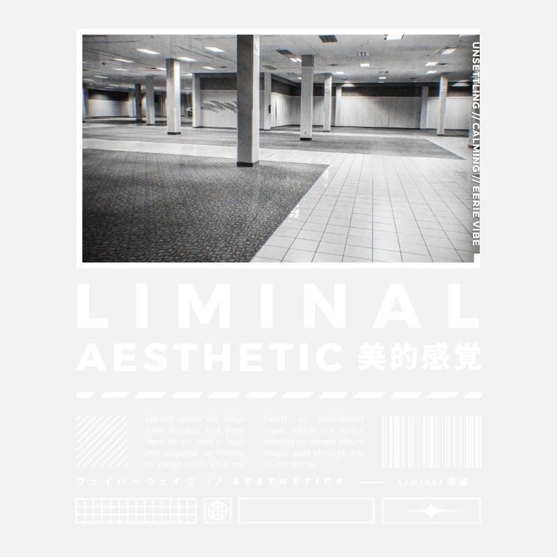 Liminal Spaces Retro 80s & 90s Backrooms Vaporwave