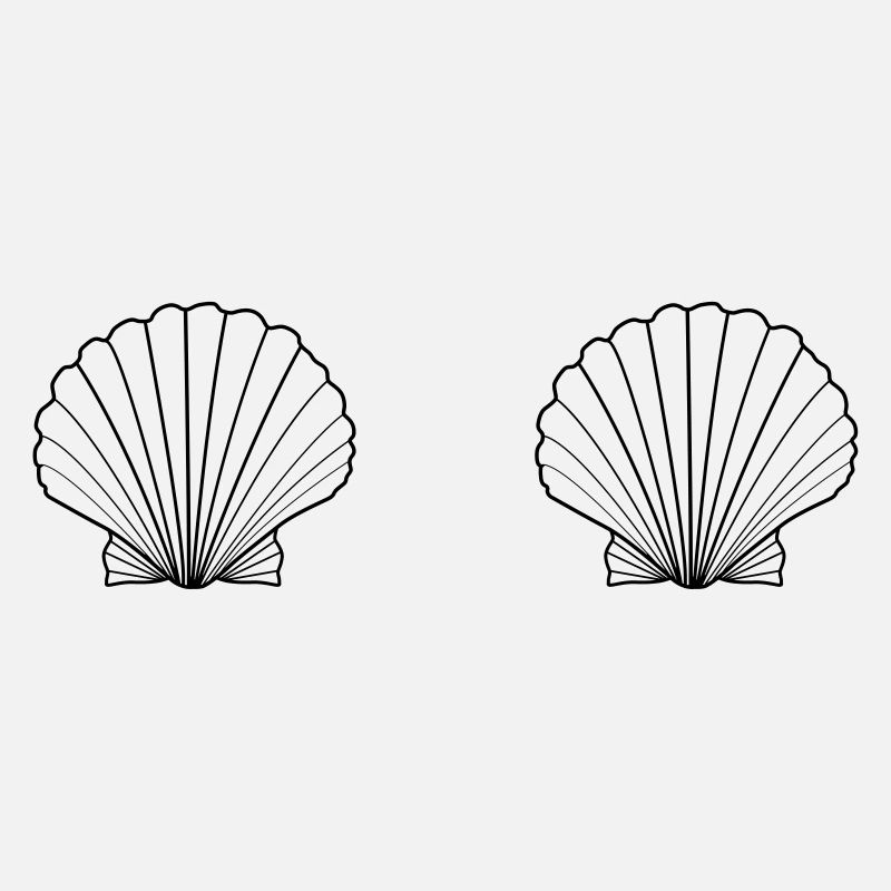 Shell Bra