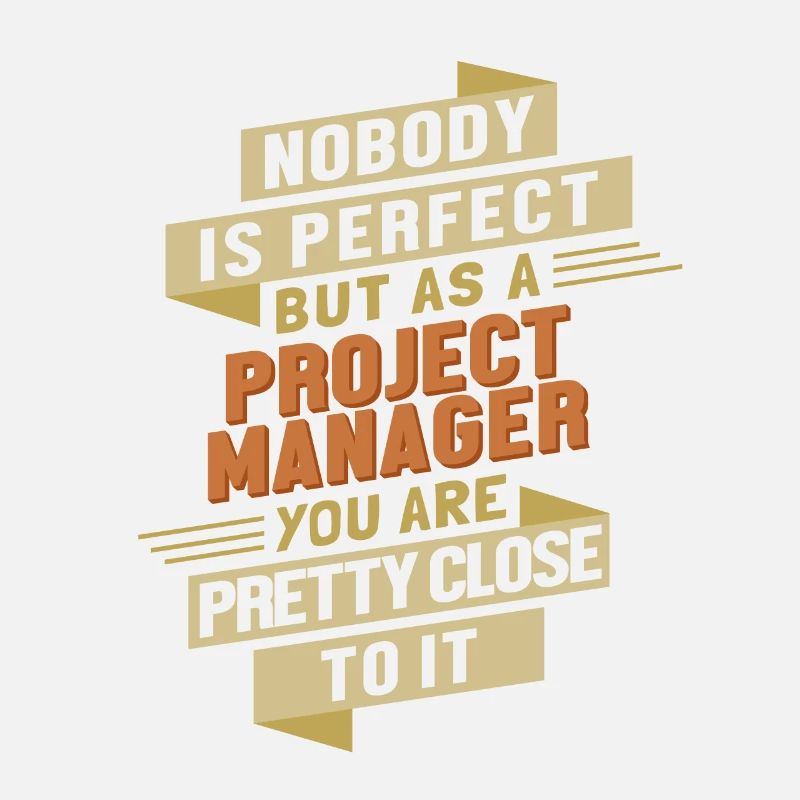 Project Manager close to Perfect IT-Projektleiter