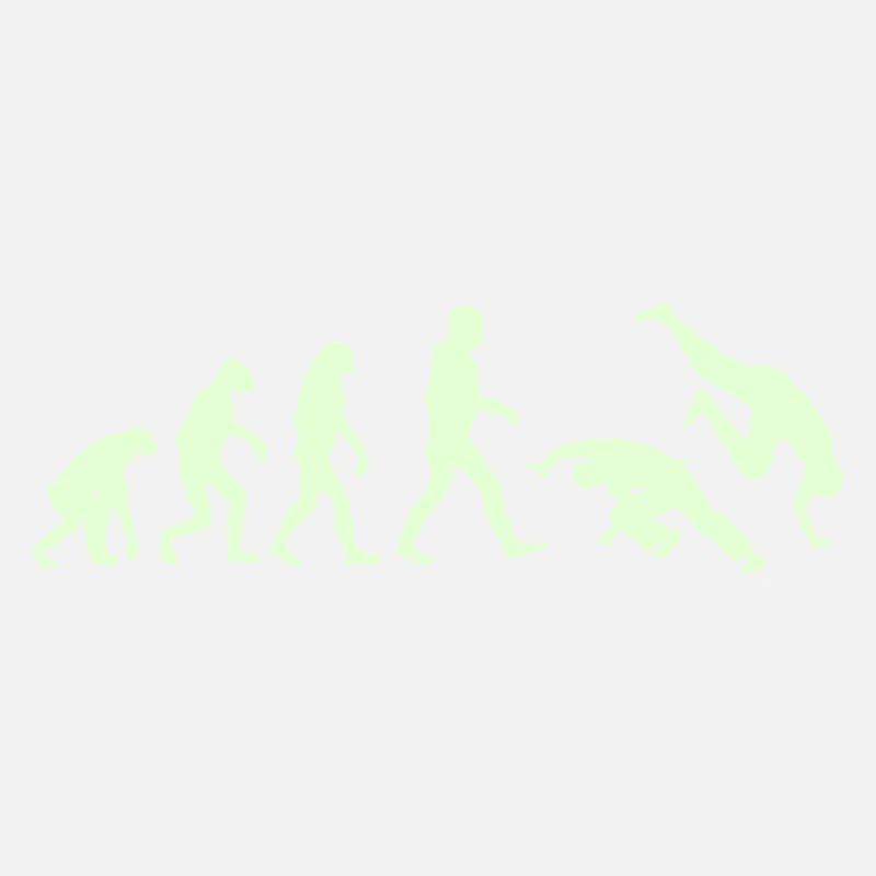 Capoeira Evolution logo