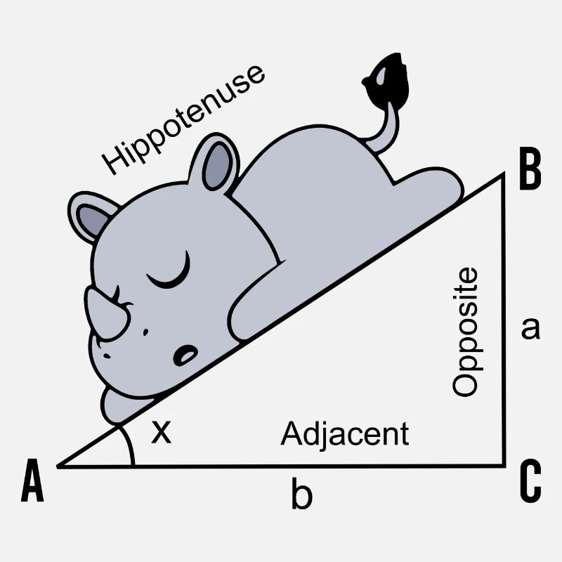 Funny Math Humor Hippotenuse Hypotenuse