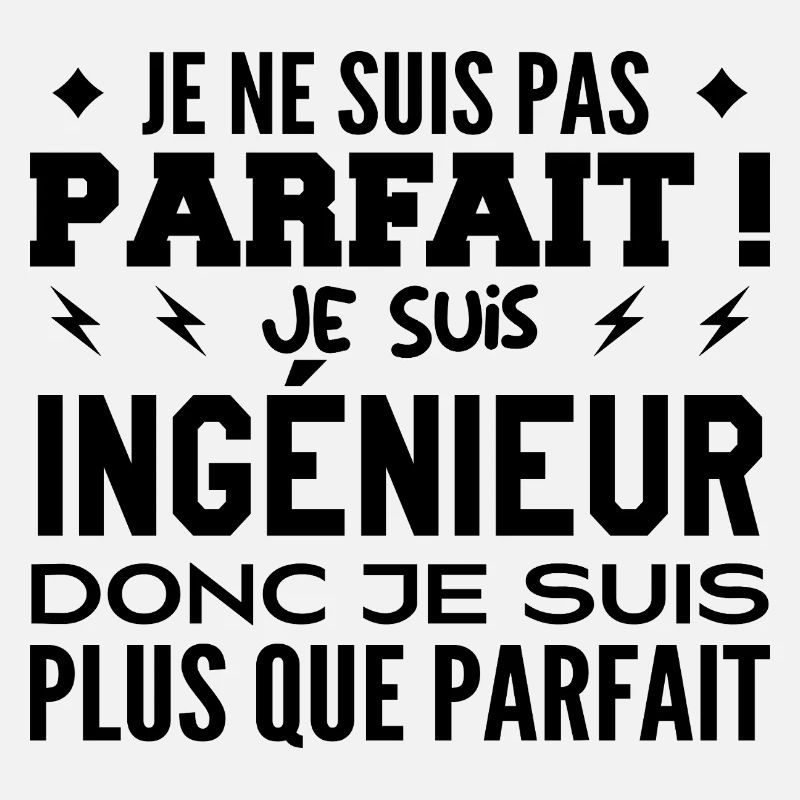 Un Ingénieur plus que parfaite, métier de rêve
