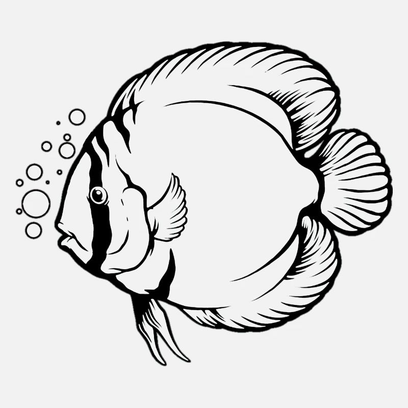 Discus Fish Tropical Fish Keeper