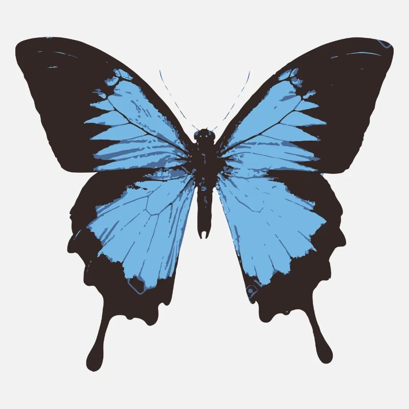 Schmetterling