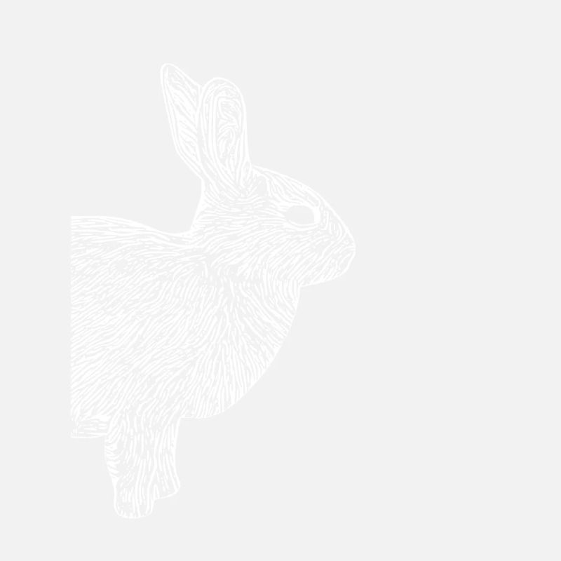 Cute Rabbit Hasi Gift