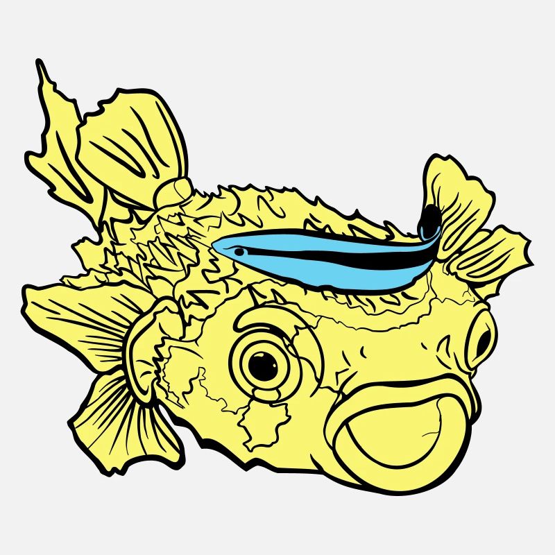 Igelfisch Kugelfisch Putzerlippfisch