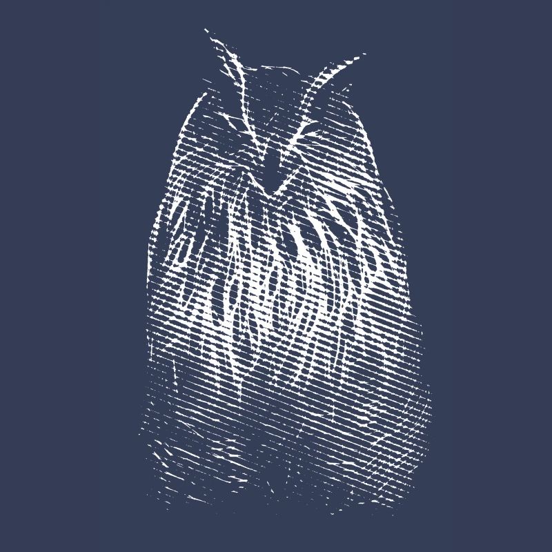 Das Lächeln von Herrn Owl. Eule, Eule
