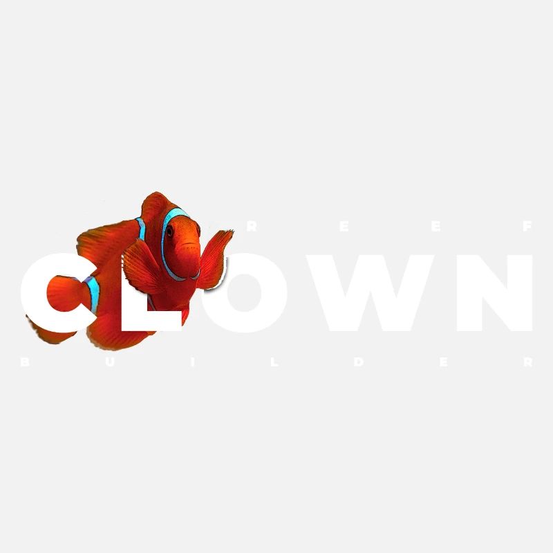 Clownfish Marine Fish Keeper