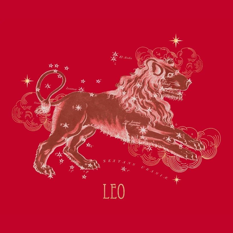 Leo Constellation Celestial Map