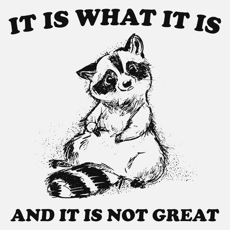 it is what it is and it is not great meme quote