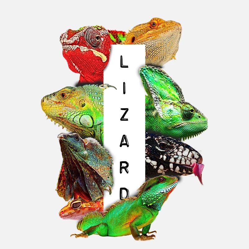 Reptile Keeper Lizard Owner