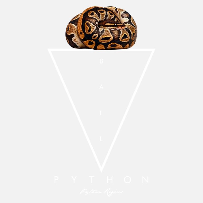 Ball Python Geometrischer moderner Schlangenwärter