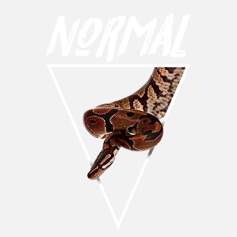 Normal Ball Python Morph Snake Owner