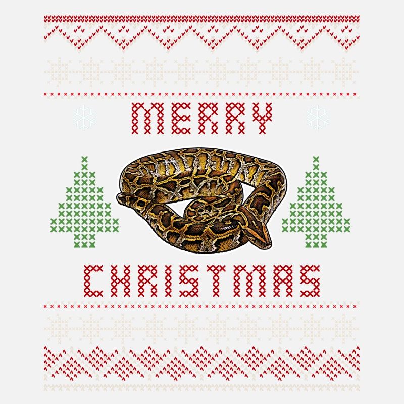 Noël Python birman