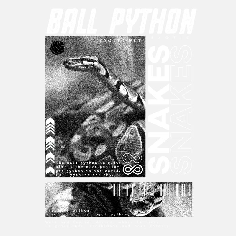 Ball Python Modern Streetwear Reptile Keeper