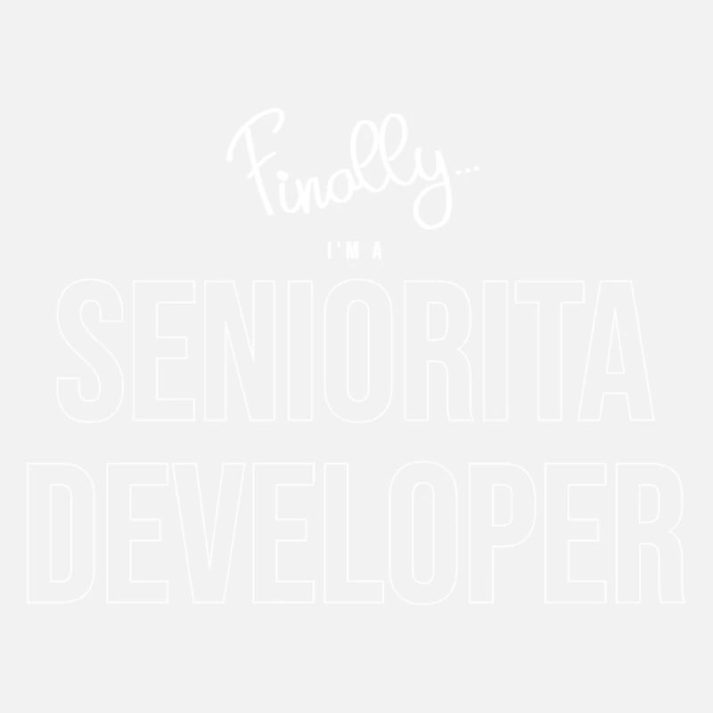 Senior Developer