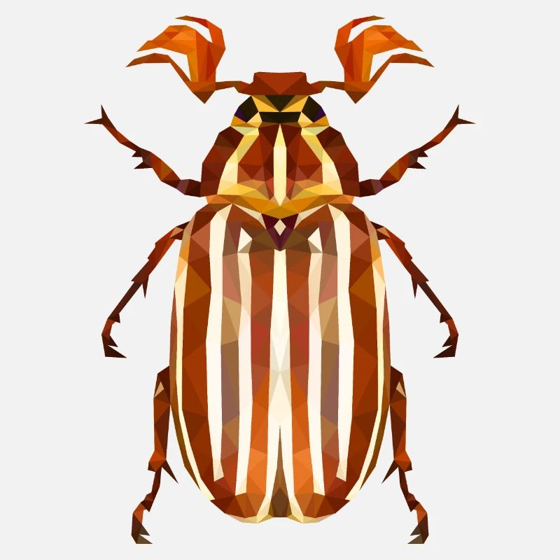 Coléoptère de la pastèque