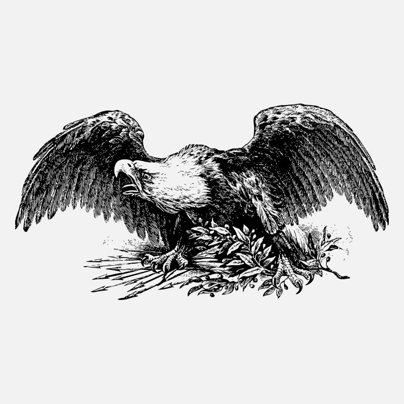 aigle