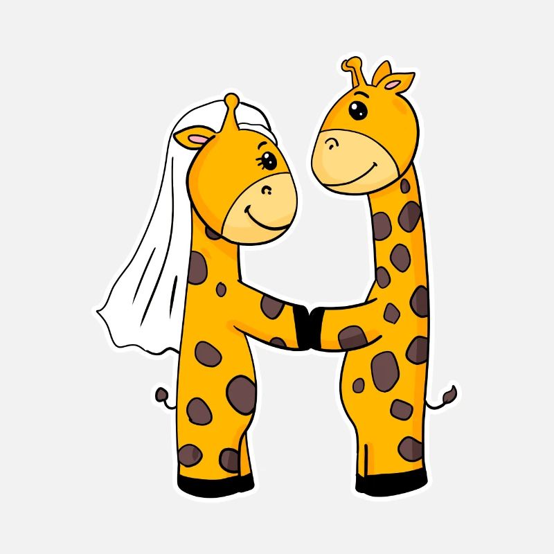 Married giraffes