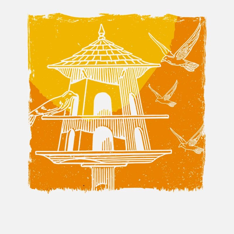 Bird Feeding