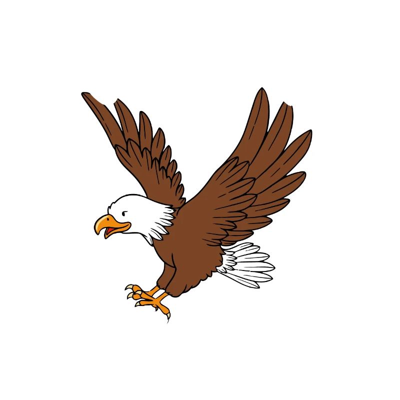 Girls Eagle, Funny Eagle Tee, Eagle Lover