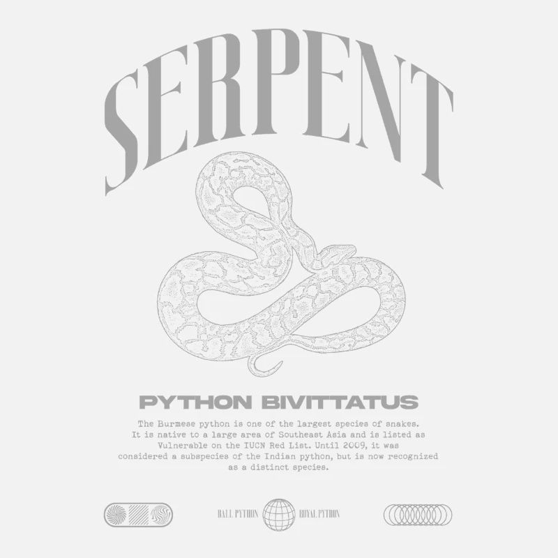 Burmese Python Modern Reptile Keeper Streetwear