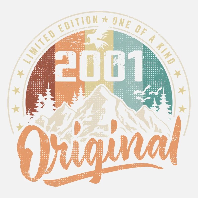 Original 2001 Retro Birthday Gift Born In 2001