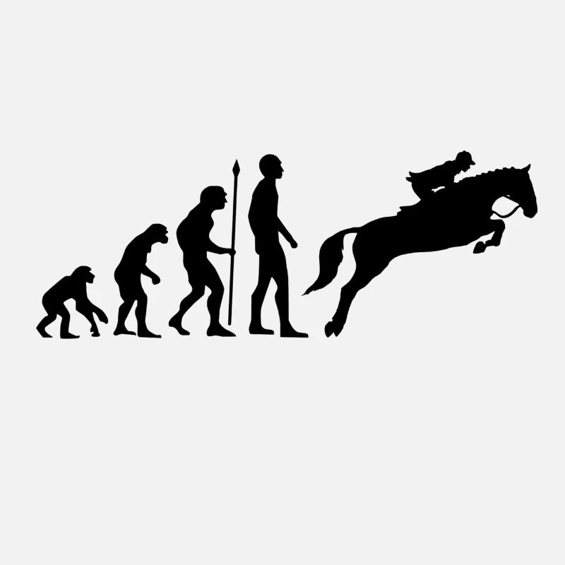 Reiterin Evolution Springreiten Pferde