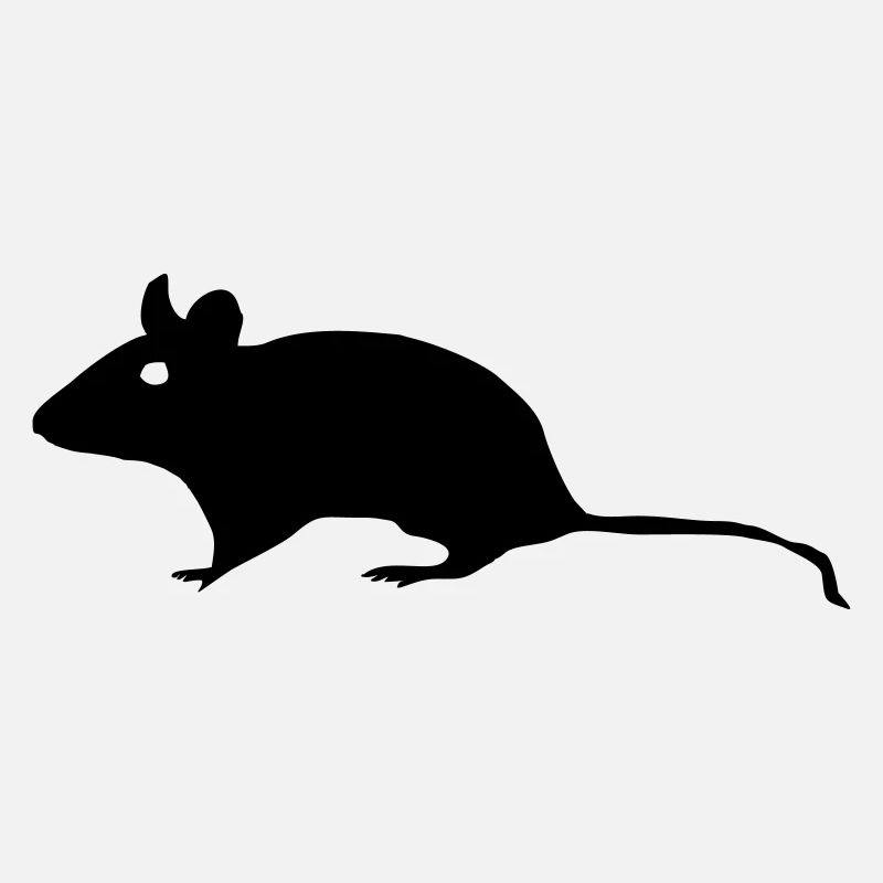Maus