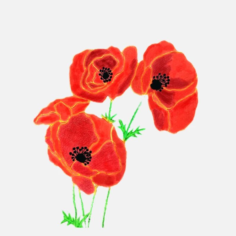 Mohnblumen