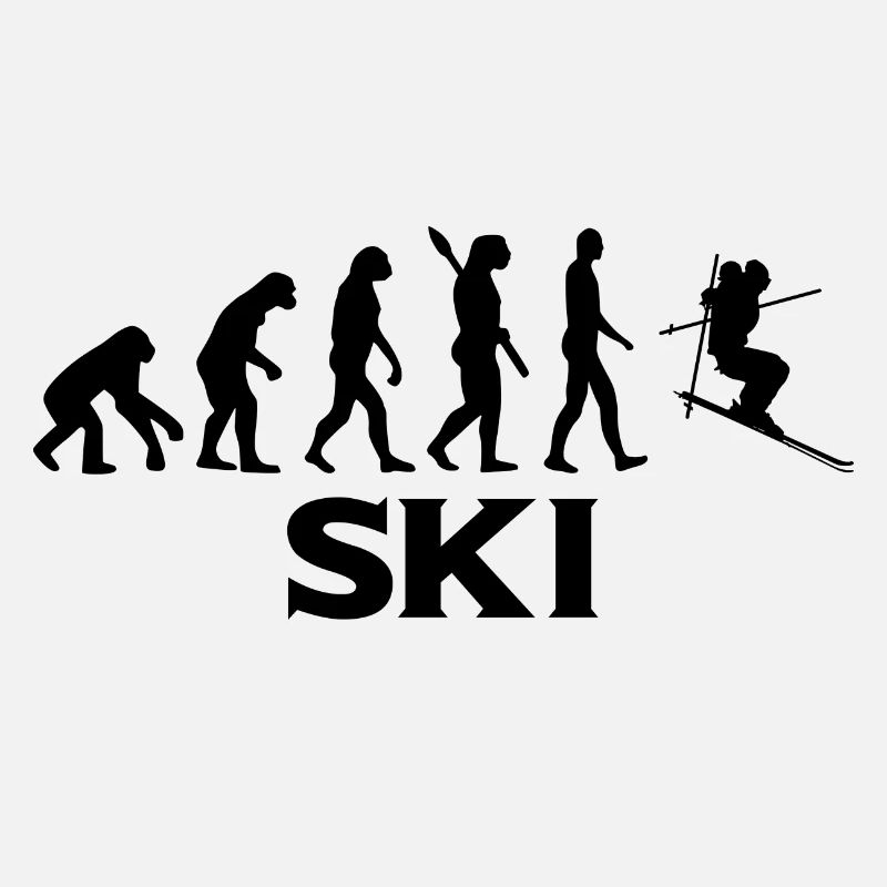Evolution Ski Skifahrer Skipiste bt