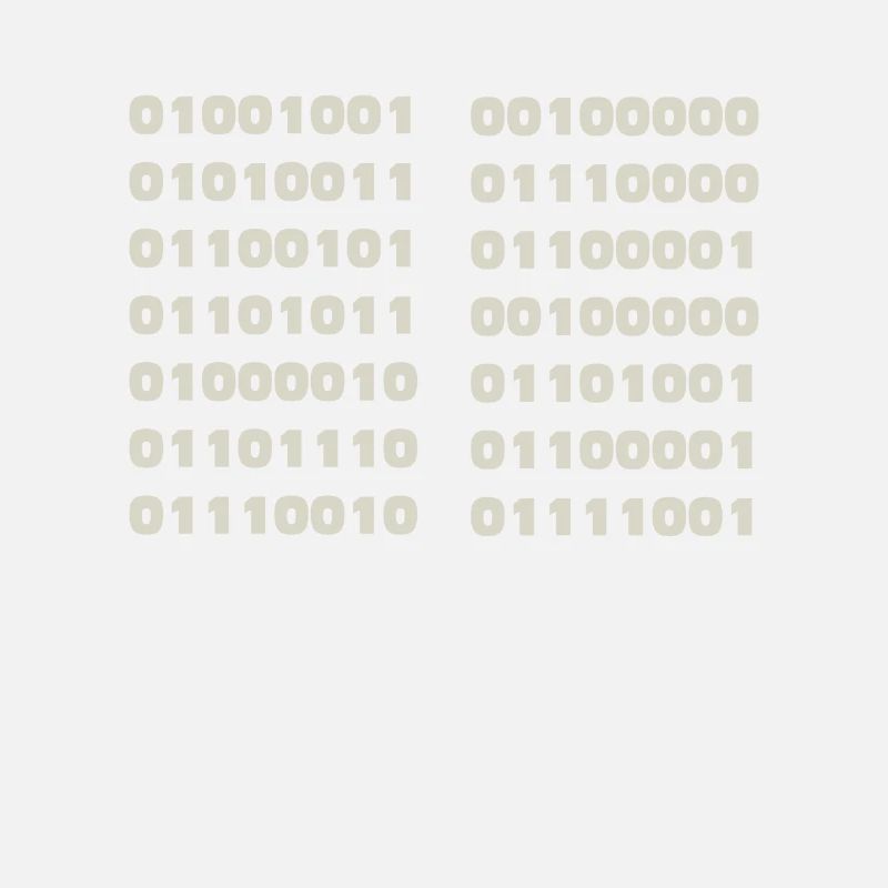 Ich Spreche Binär Code Lustiges Informatiker Coder